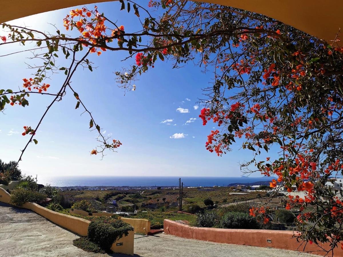 Vineyards Hill Villa Megalochori (Santorini) Exterior foto
