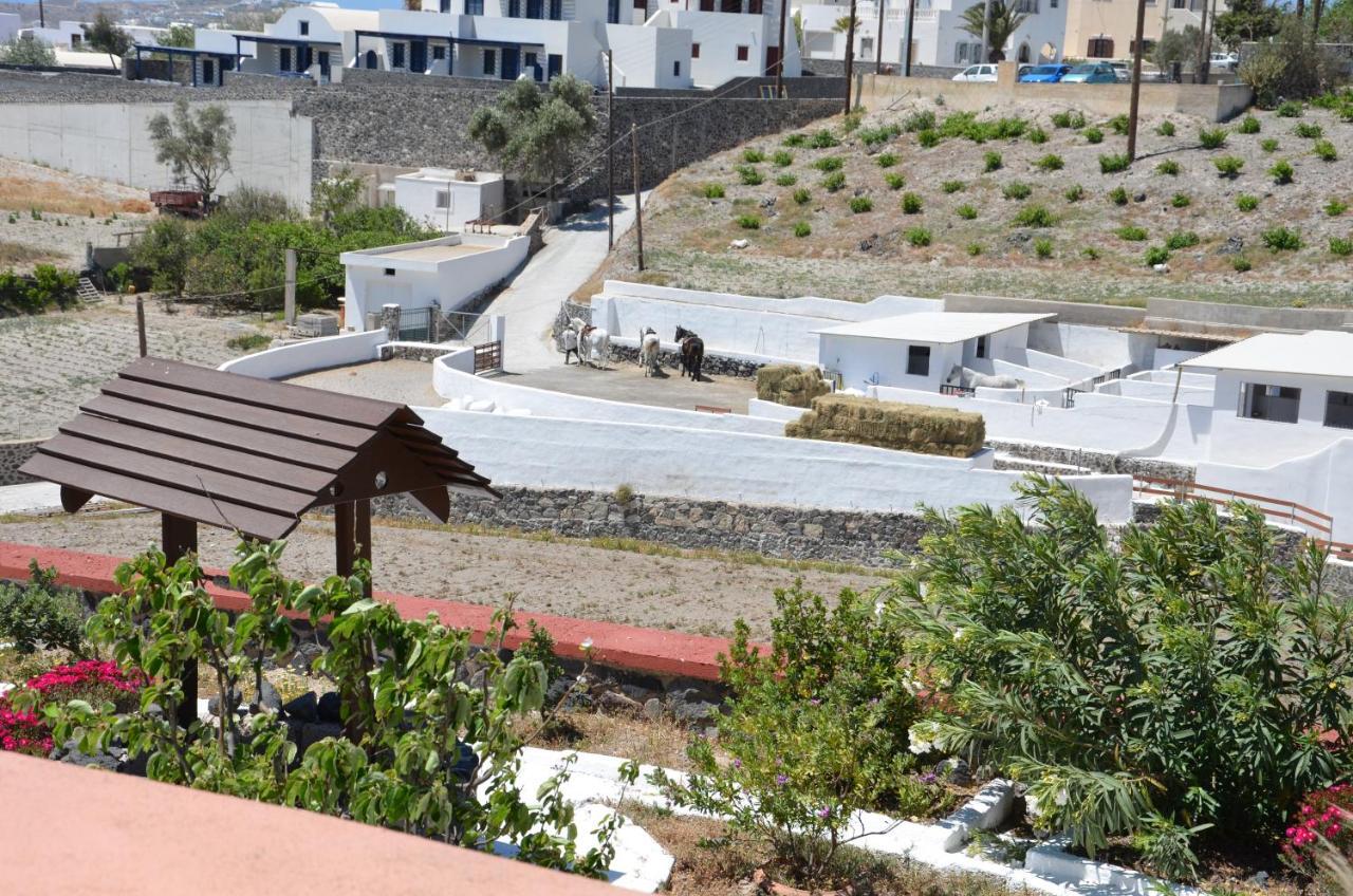 Vineyards Hill Villa Megalochori (Santorini) Exterior foto